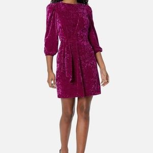 Shoshanna Dakota Embossed Velvet Mini Dress